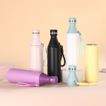 Premium Stainless Steel Water Bottle